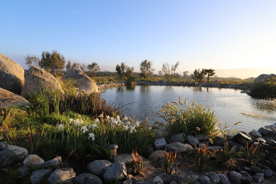 Slider image (2) Montevalle Spa & Wellness Resort